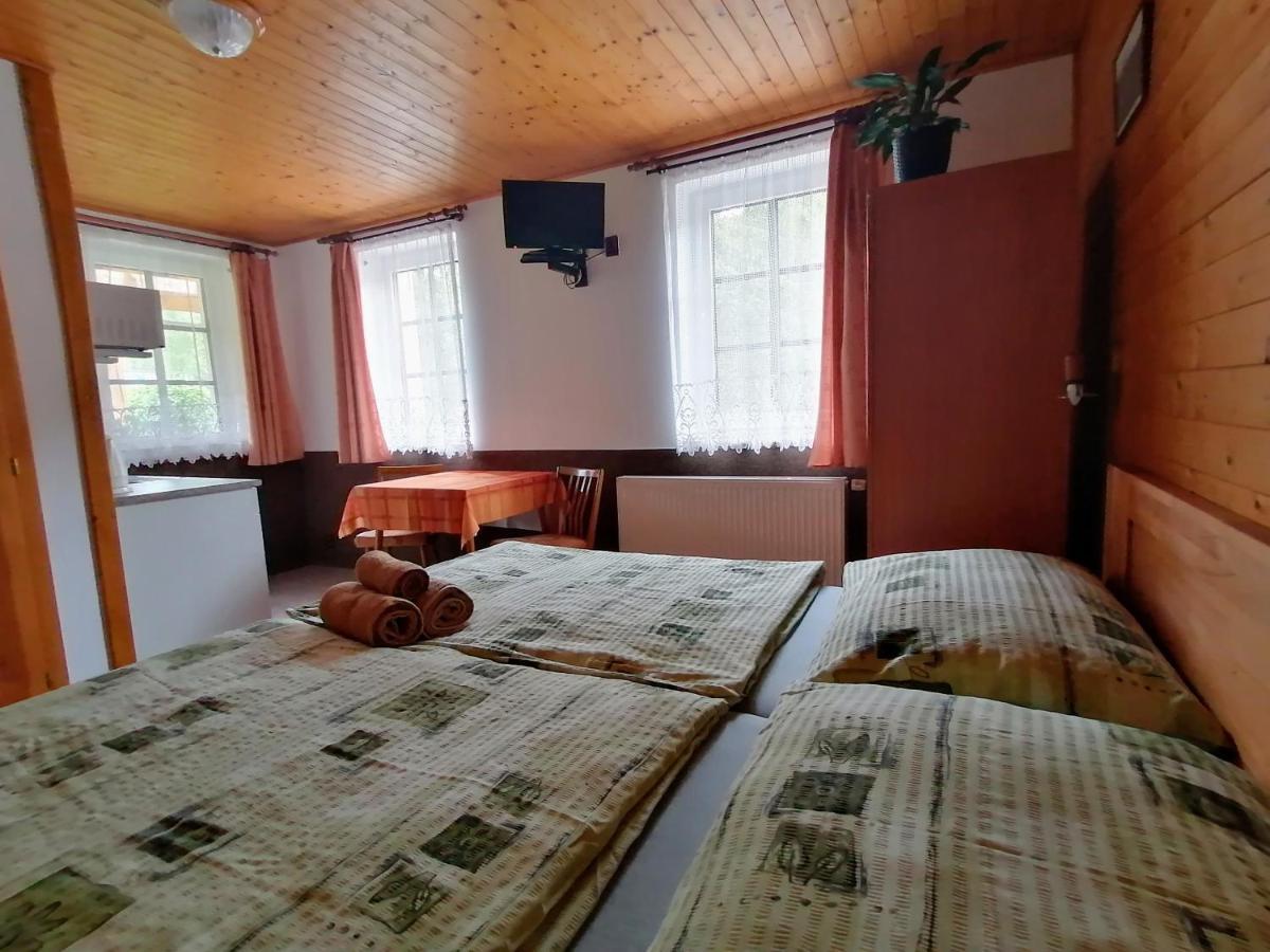 Apartmany 670 Pod Lysou Horou Rokytnice nad Jizerou Extérieur photo